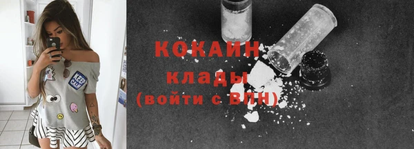 гидра Елизово