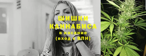 гидра Елизово