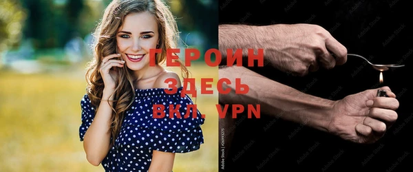 гидра Елизово