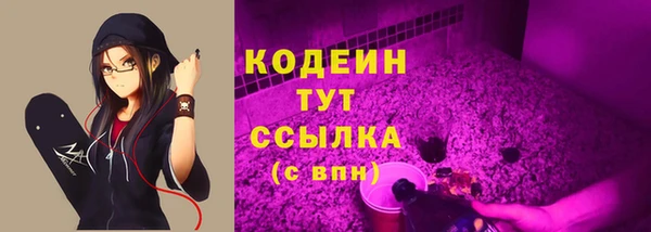 спиды Иннополис