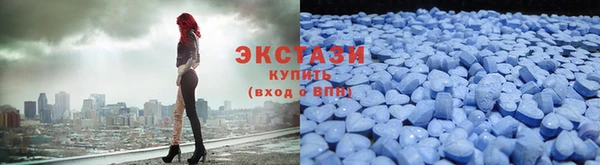 гидра Елизово