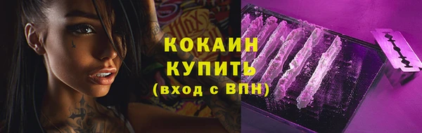 mdpv Ельня