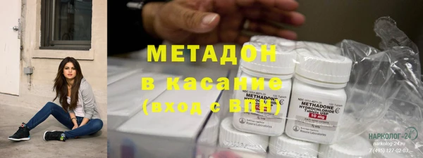 гидра Елизово