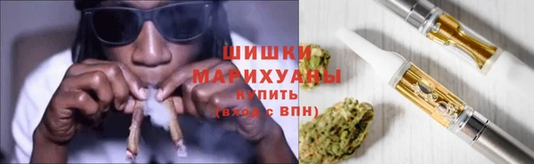 гидра Елизово