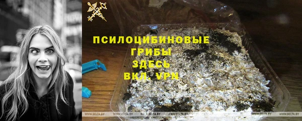 соль курить ск Заводоуковск
