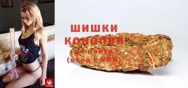 гидра Елизово