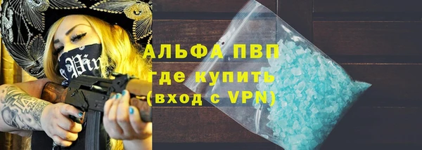 гидра Елизово